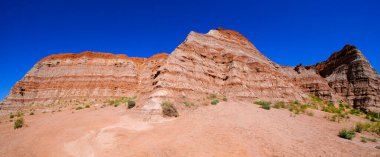 Amerika 'nın güneybatısındaki çölde kırmızı kumtaşı uçurumları yeşil bitkiler ve çiçeklerle mavi gökyüzü