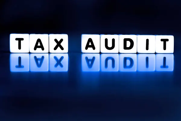 Steuerprüfung Würfelblöcken Die Irs Prüfung Darstellen Die Für Die Steuern Stockbild
