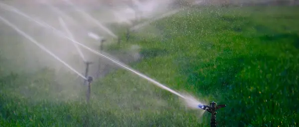 Gicleurs Agricoles Conduites Eau Dans Les Champs Pour Irrigation Arrosage Images De Stock Libres De Droits