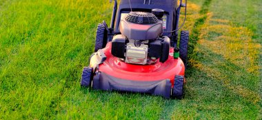 Red lawn mower in lush green grass mowing lawn cutting