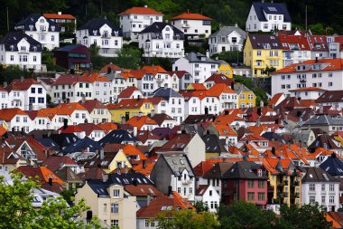 Yamaçta eski evleri ve binaları olan vahşi ormandaki bir dağ kasabasının ayrıntıları.