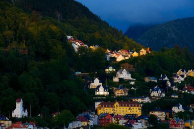 Yamaçta eski evleri ve binaları olan vahşi ormandaki bir dağ kasabasının ayrıntıları.