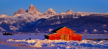 Kışın Wyoming 'deki Teton Dağı' nda kar mavi gökyüzü ve çam ağaçlarından oluşan ormanla kaplı kırmızı ahır.