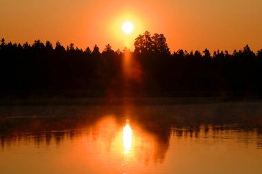 Güneşin doğuşunun ayrıntıları nehir gölü üzerinde yükseliyor ya da altın sisli ya da sisli bir gölet
