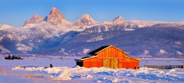 Kışın Wyoming 'deki Teton Dağı' nda kar mavi gökyüzü ve çam ağaçlarından oluşan ormanla kaplı kırmızı ahır.