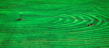 Çember döngü sulama tarlası olan tarım tarlası ekinlerin yetiştirilme biçimi