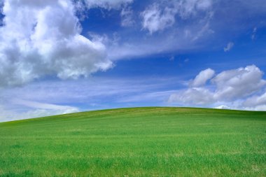 Mavi gökyüzü ve bulutları olan yeşil tarlalar.