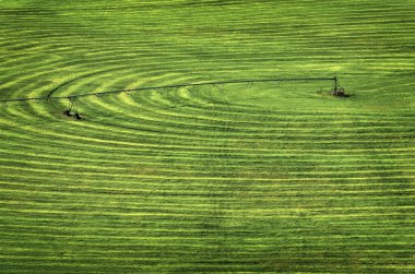Çember döngü sulama tarlası olan tarım tarlası ekinlerin yetiştirilme biçimi