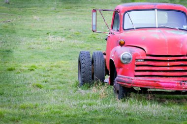 Eski hurda kırmızı iş kamyonu yeşil bir tarlada terk edilmiş.