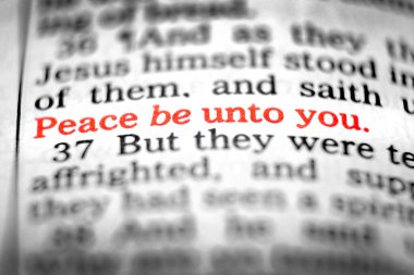 İncil 'in Yeni Ahit Kutsal Kitapları Kurtarıcı' dan alıntı metni olsun.