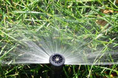 Yeşil çimenlerin üzerine su püskürten tek bir yarda fıskiyesinin yakın plan detayı