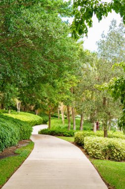 Weston Florida 'da manzara manzaralı kaldırım ve bisiklet yolu