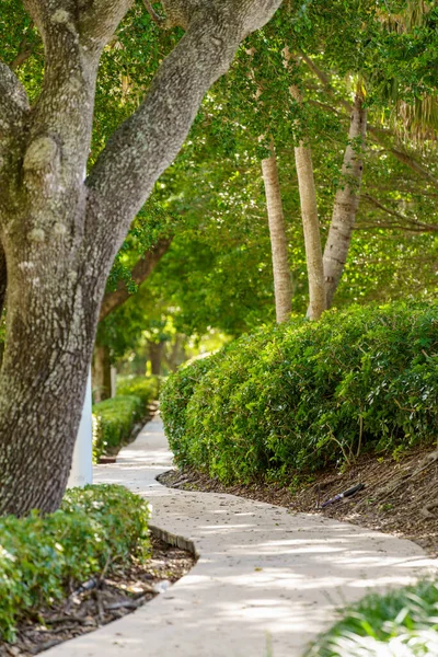 Scénický Upravený Chodník Cyklostezka Weston Florida — Stock fotografie