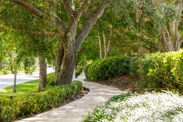 佛罗里达韦斯顿风景秀丽的人行道和自行车道 — 图库照片