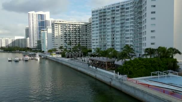 Mondrian Miami Beach Hotel Resort Pool Área — Vídeos de Stock