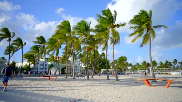 マイアミビーチ アメリカ 2022年12月2日 8Kビデオ観光客がアートバーゼルマイアミビーチに歩く — ストック動画