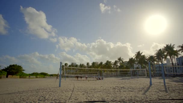Miami Beach Ηπα Δεκεμβρίου 2022 Βίντεο Στολίδια Διακοπών Στο Πάρκο — Αρχείο Βίντεο