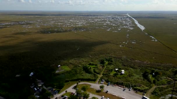 Flygdrönare Video Florida Everglades — Stockvideo