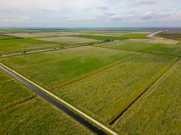オランダの畑や森林の空中風景 — ストック写真