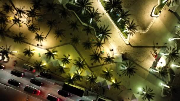 Aerial Pull Palms Beach Night — Video Stock