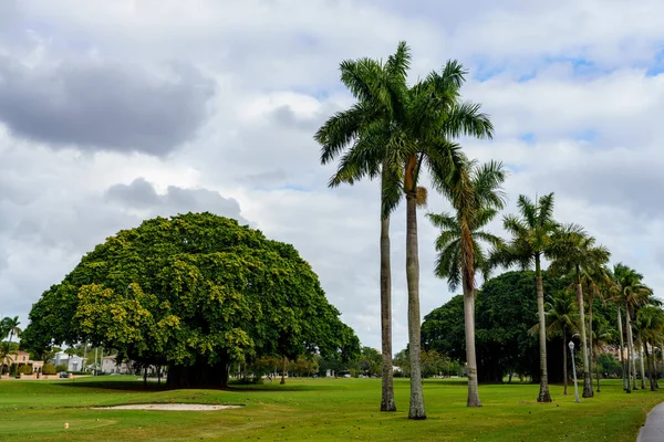 Nature Scene Granada Golf Course Coral Gables Miami Florida — Stok fotoğraf