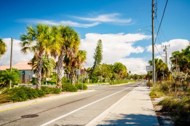 Siesta Key Sahili 'nin ağaçlarda hareket bulanıklığı olan uzun pozlu fotoğrafı.