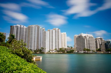 Miami sahili manzaralı palmiye ağaçları ve mavi gökyüzü