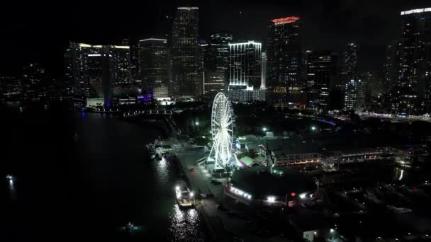 Авиационное Ночное Видео Skyviews Miami Ferris Wheel Ride Bayside Marketplace — стоковое видео