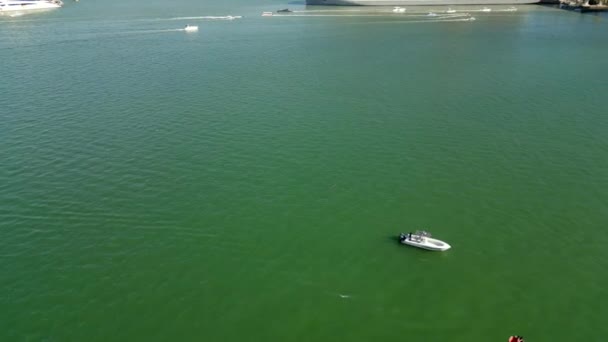 Εναέρια Video Pod Των Δελφινιών Στα Νερά Του Μαϊάμι Biscayne — Αρχείο Βίντεο
