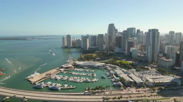 Drone Stock Downtown Miami Circa 2023 — ストック動画