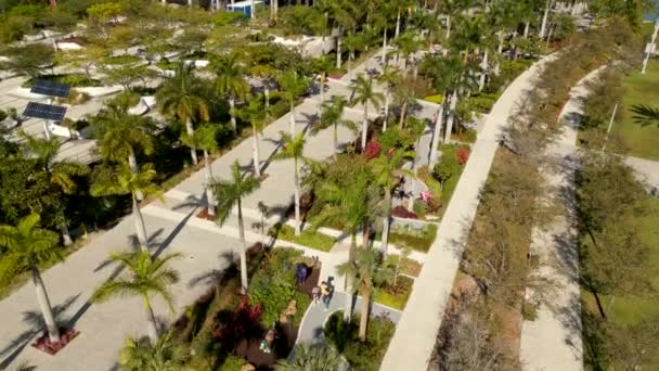 Aerial Video Psów Kotów Wystawa Sztuki Miami Maurice Ferre Park — Wideo stockowe