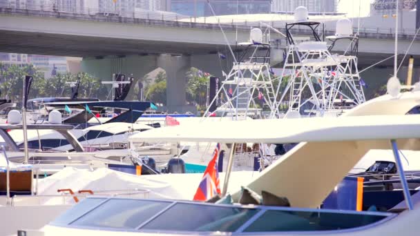 Miami International Boat Show Mibs 2023 — 图库视频影像