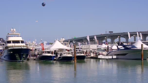 Luxury Yachts Sale Miami International Boat Show 2023 24P — Stock video