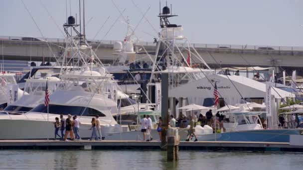 Video Viking Yachts Miami International Boat Show — Video Stock