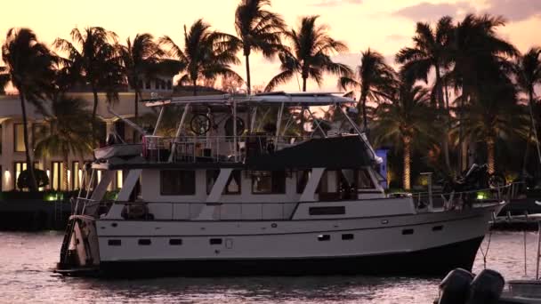Miami Fort Lauderdale Günbatımında Video Teknesi — Stok video