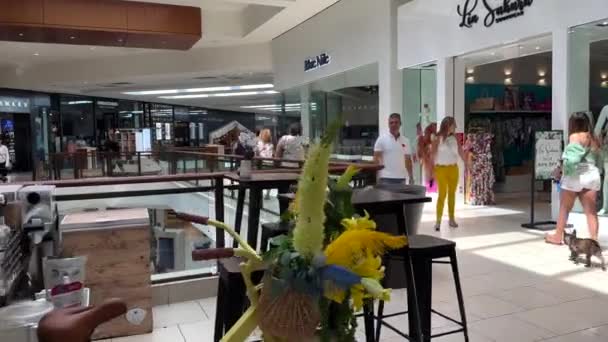 Aventura 2023年3月1日 PovツアーAventura Mall Miami — ストック動画