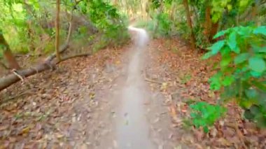 MTB parkında stok video dağ bisikletçiliği