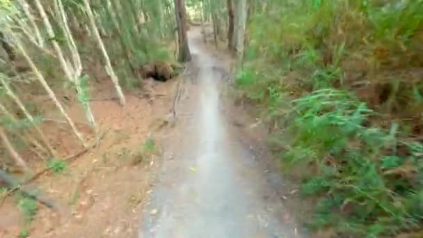 Bewegingsbeelden Intermediaire Mountainbike Trails Fpv — Stockvideo