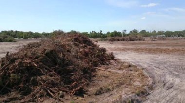 Düşük hava hareketi video yığını arazi gelişimi için ağaç kesimi