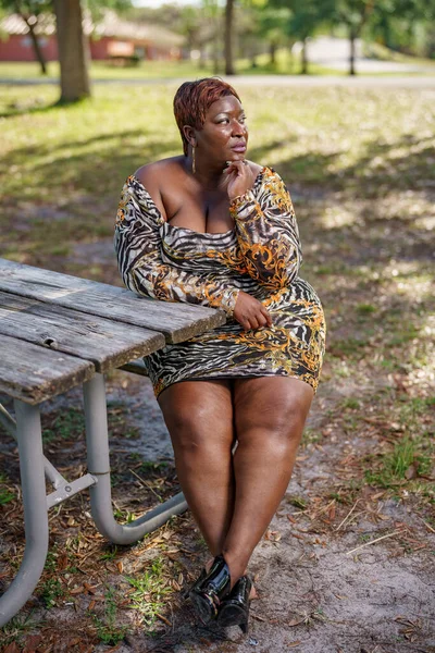Bbw Big Black Beautiful Model Sitting Park Bench Outdoors — Stock Photo, Image