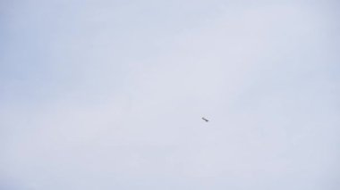 Fort Lauderdale Hava ve Deniz Şovu 'nda akrobatik uçak