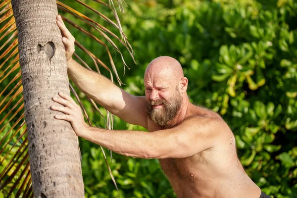 Toque Florida Homem Empurrando Para Baixo Uma Palmeira — Fotografia de Stock