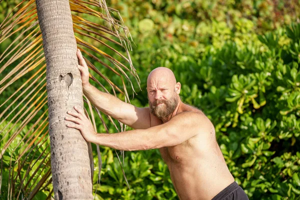 Toque Florida Homem Empurrando Para Baixo Uma Palmeira — Fotografia de Stock