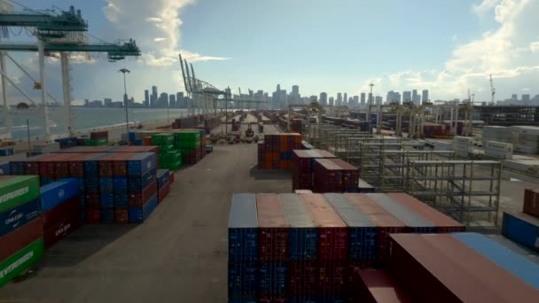 Port Miami Proletět Zájezdy Kontejnery Nákladem — Stock video