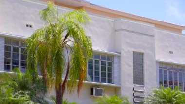 Miami Beach 'te sanat deco binaları ve palmiyeler. 4k stok video prores