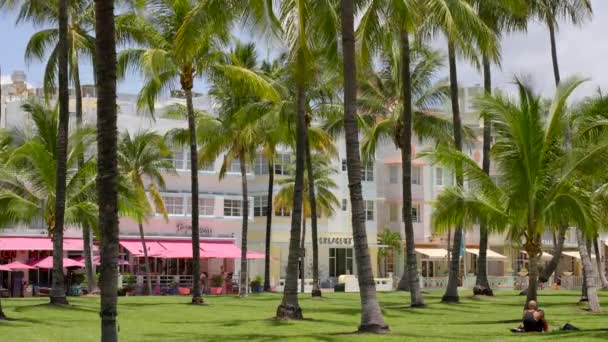 Miami Beach Usa June 2023 Отели Ocean Drive Miami Beach — стоковое видео
