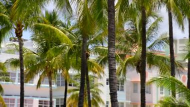 Stock video palmiye ağaçları ve oteller Ocean Drive Miami Plajı 4k 2023 yaz