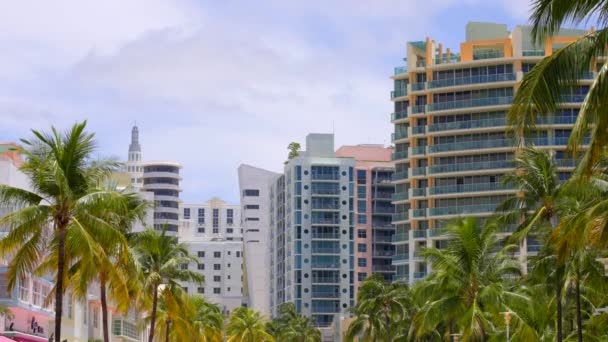Склад Видео Miami Beach Palms Buildings — стоковое видео