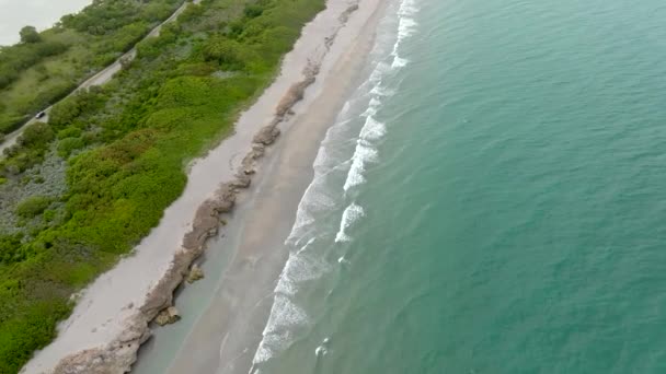 美国吹岩石保护区号角声Fl — 图库视频影像