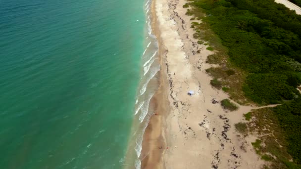 Jensen Beach Hutchinson Island Florida Usa — 비디오